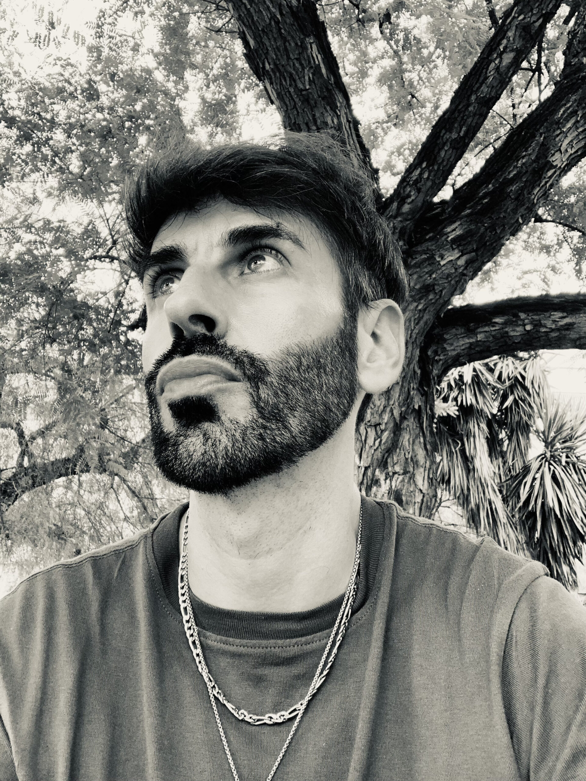JUAN ANDRÉS MOYA MONTAÑEZ